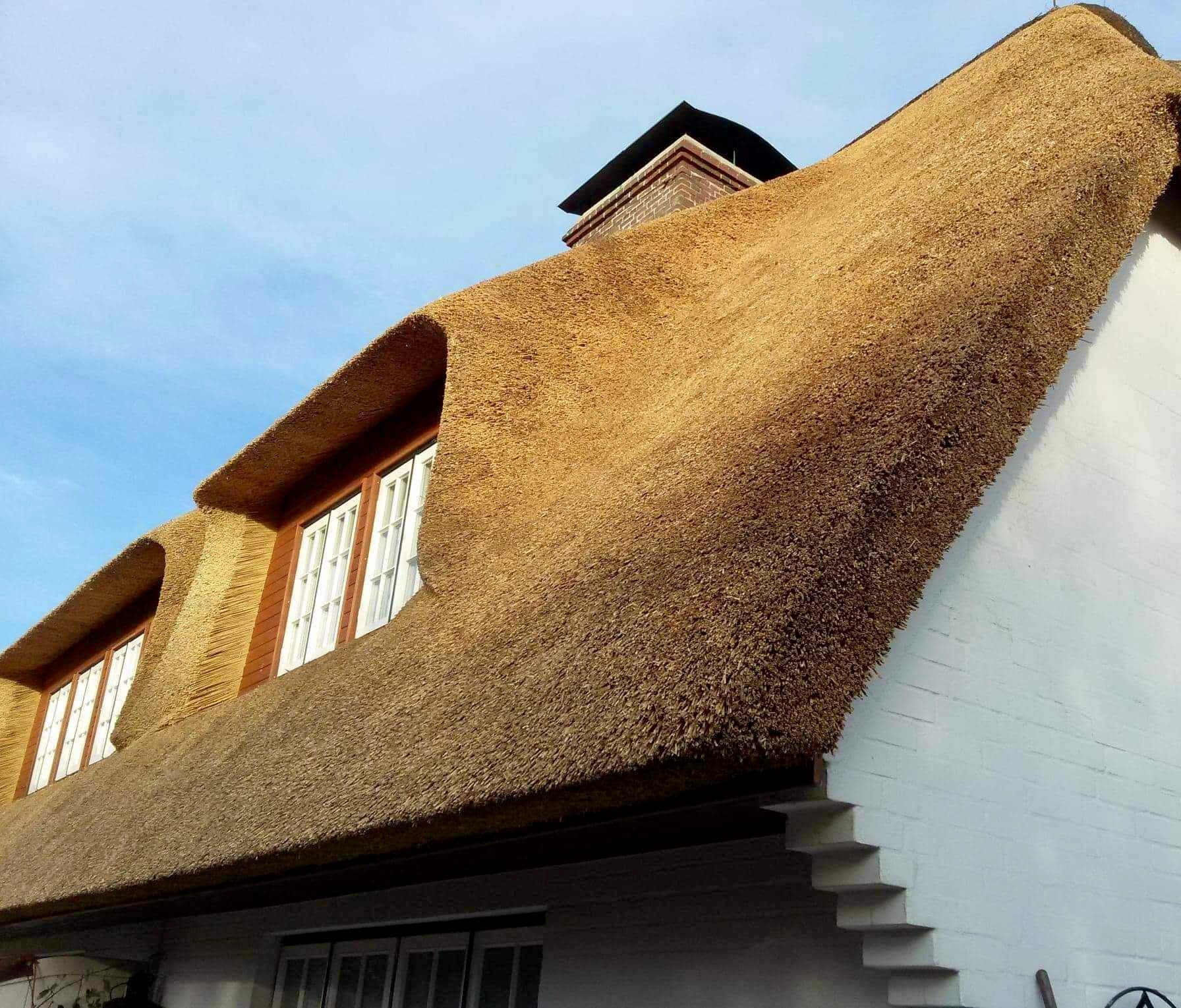 Reetdächer